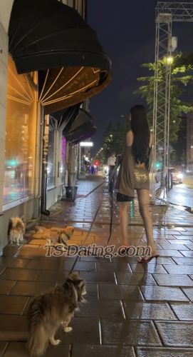 trans girl Atrina 3141759 trans girl Atrina 3141759