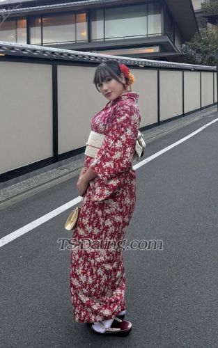 trans girl Audi 9098952 trans girl Audi 9098952