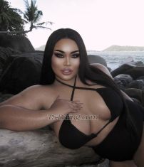 August254300 Phuket Patong Transex Hey Guys I'm August 𝘾𝙃𝙐𝘽𝘽𝙔
𝙇𝘼𝘿𝙔𝘽𝙊𝙔 ✳️ My makeup
looks good, it's not a filter.If you want a
delicious chubby Ladyboy, I'm your best choice. 
أستطيع أن أفعل أي شيء لأجعلك
سعيدًا ❤️I AM BIG ASS & BIG BOOBS 
TALL 180 CENTIMETERS I have cute dick I live
alone in Private room🏡 📍Location Phuket patong
nowhello baby I have all experienced that you
need to do I will cum together with you 1. can give you
good top and bottom. 2. I have a big Ass. 3. I
have a big Boobs to make Boobsjob for Your Cock. 4.I
have a hard Cock and Cums alot for you ( If you need it )
5. I can do everything I can make your simple time
become Your Best time.  MY SERVICES FOR YOU
💵✅FIRST TIME VERY WELCOME✅BLACK GUYS VERY
WELCOME✅POPPER AVAILABLE✅I CAN TOP
100%✅ SEX TOY ❗please contact me
before appointment 1 hours❌ FAKE CLIENT WILL
BLOCK❌NO MONEY NO TEXT PLEASE❌NO FAKE
CUSTOMER❌NO 3SOME❇️Don't waste your
time if you're not in Phuket right now Thank
you📌 Contact me : Available 24 hours
✅Line : August190843✅WhatsApp :
+66660765056✅ WeChat:
Augustts_19⭕Fake people and cheap people do
not message meI will Automatic block you westing
the time😹💋❤️🙏🏼I waiting
for you. Hope to see you soon Darling🙏🥰🎉 