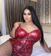 August254300 Phuket Patong TS escort 