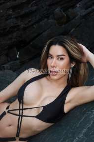 Aummayas Bangkok Transex Hello all the  gentleman ☺️ 

first Thank you
very much to visiting my profile 

Call me
”Nicole” for contact me 

 I am from Bangkok
Thailand  

I'm  freelancer (full time)

 
I'm  27 year old   Tall 171cm/ 58kg

I'm here to
meet a gentle guy who also like to smile ,laugh and want to
have a good time together
 
I'm Top and Bottom love
to kiss and enjoy playing I have a lovely smile and I am
very friendly

We can do sex cam 
 
any more
details contact me 

WeChat :
Aumnakarin2537

Line: Aum_mayas

whatsapp
+66986632932

Instagram: Aum_mayas