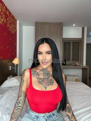 trans girl AmadoraFox 8116904