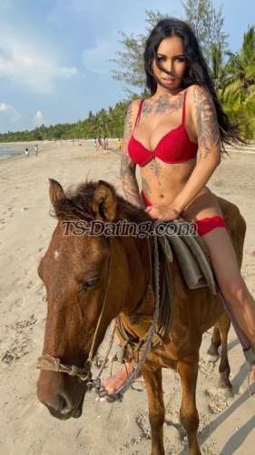 trans girl AmadoraFoxx 4931630