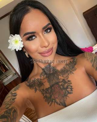 trans girl AmadoraFoxx 8003627