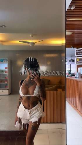 trans girl AmadoraFoxx 8626117