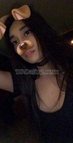 trans girl AznPrincess 5160279