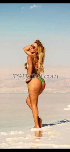 trans girl alessandran 8768746 trans girl alessandran 8768746