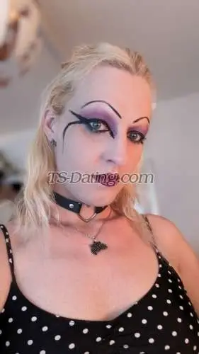 Shemale allycat 5664411