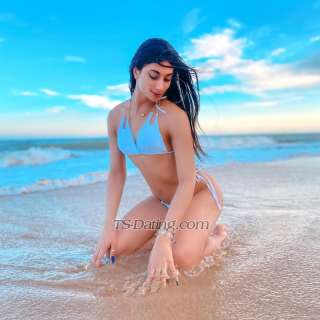 trans girl angelllcostaa 1291498