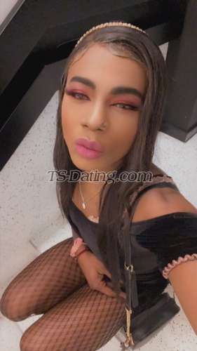 trans girl ashlicy 6231186