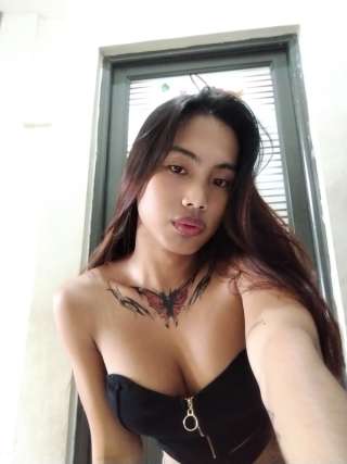 auricmaurice 2387472