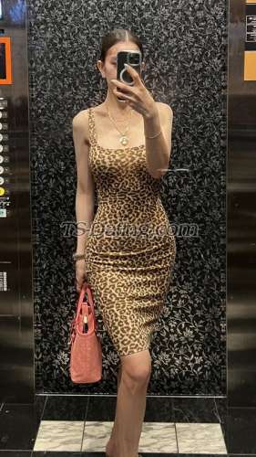 trans girl ayessa 2795093