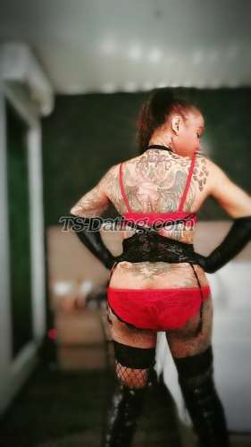 trans girl BADDESTBITCH 6076681 trans girl BADDESTBITCH 6076681