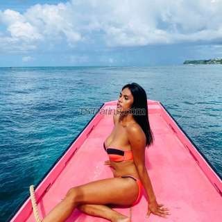 trans girl Jorgina 5346701