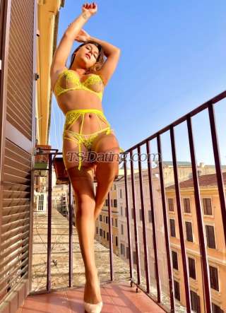 trans girl Babigoulart 4543426