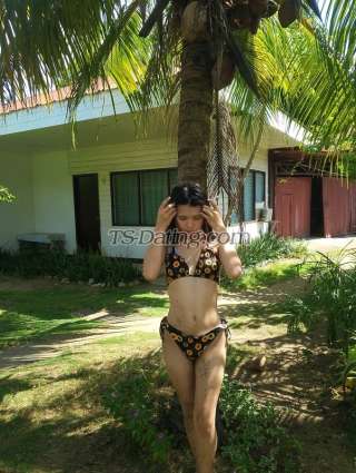 Shemale-BabyAra-4916890