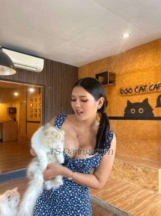 trans girl BabyCassie 0661321 trans girl BabyCassie 0661321