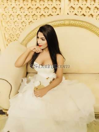 trans girl BabyDoll18 3166297