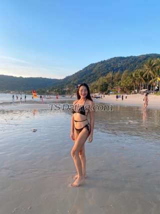 trans girl Bambambii 7999929