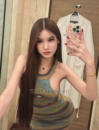 trans girl Bambie 8033773 trans girl Bambie 8033773