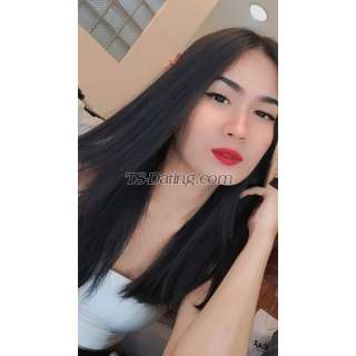 trans girl BarBitch 8631953 trans girl BarBitch 8631953