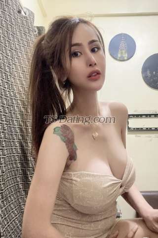 trans girl BarbieAnn 2251679 trans girl BarbieAnn 2251679