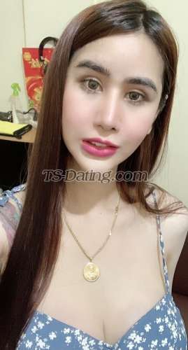 trans girl BarbieAnn 6093132