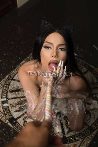 trans girl BarbieElla 9832949