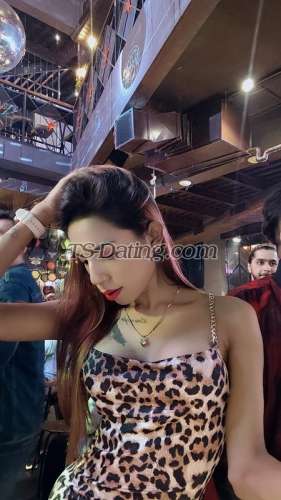 trans girl BarbieTS1 2155302