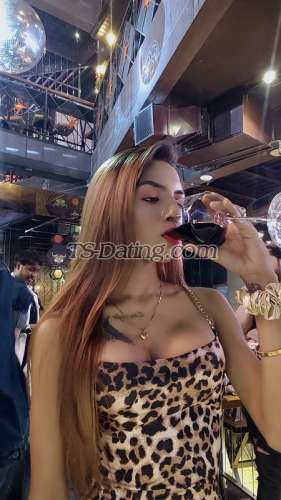 trans girl BarbieTS1 2155368