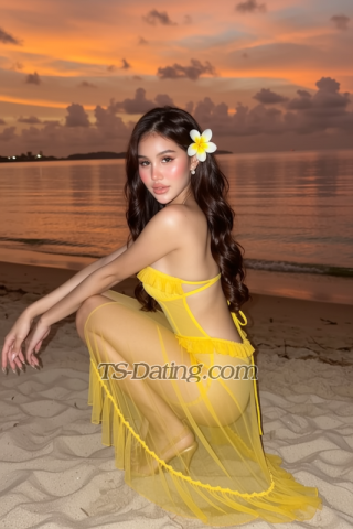 trans girl Bbgirl 1547275 trans girl Bbgirl 1547275