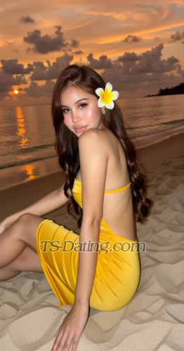 trans girl Bbgirl 2054407 trans girl Bbgirl 2054407