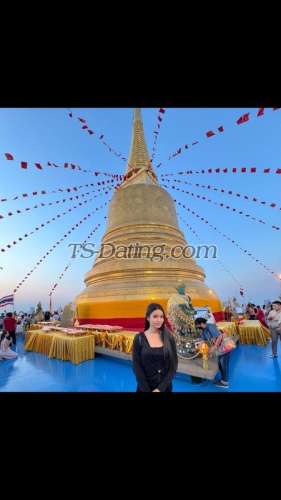 trans girl BbyTgirl 6169613