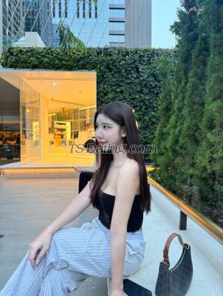 trans girl Bebelly 8236762