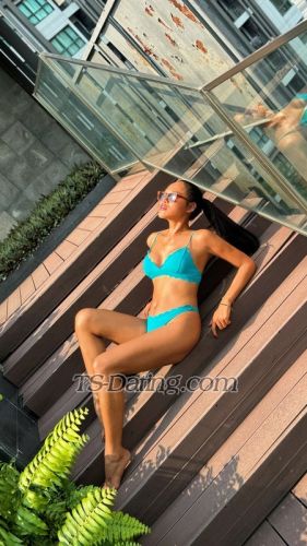 trans girl Beesofia 0622714