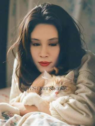 trans girl BeijingCDwei 0166708