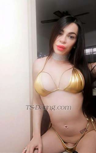 trans girl Belencita 2535339