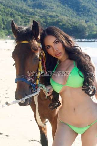 trans girl Belinda69 3779690