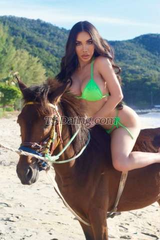 trans girl Belinda69 3779799