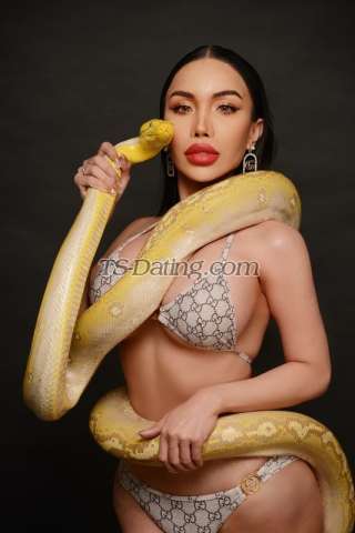 trans girl Belinda69 5188438