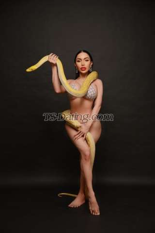 trans girl Belinda69 5188467