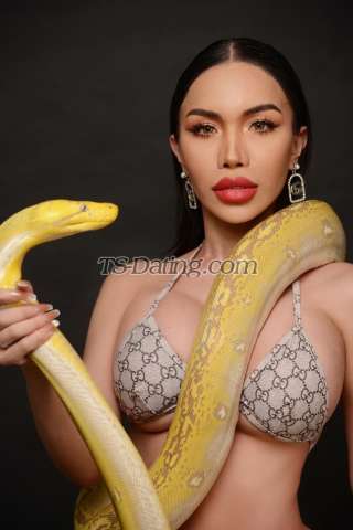 trans girl Belinda69 5188598