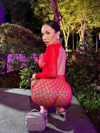 trans girl Belinda69 7347043