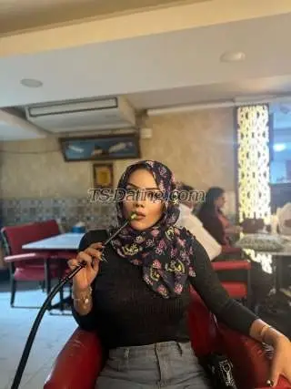 Shemale Bella696969 3865100 Shemale Bella696969 3865100