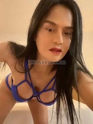 Shemale BellaAMores 0358553