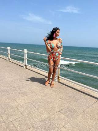 trans girl BellaDaniela 8617026