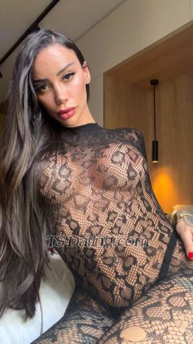 trans girl Bellaguimarae 8522376