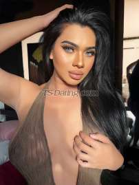 Belle7812 Phuket Transex 🌻🦋 HellO ' It's Me BellE! 🦋🌻
I’m 25 year old from Patong , Phuket  Thailand.
For I have hot sex, I can top and bottom.  You can do whatever you want with me. 
