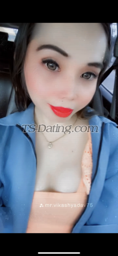 trans girl Bells 2097438 trans girl Bells 2097438