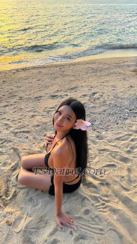 trans girl Bellsweet 2228853